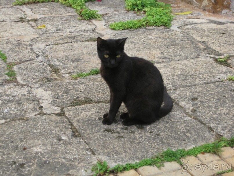 Невинные индейские забавы