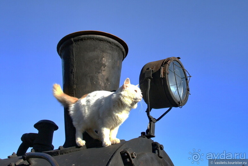 Санкт-Петербург и первая железная дорога
