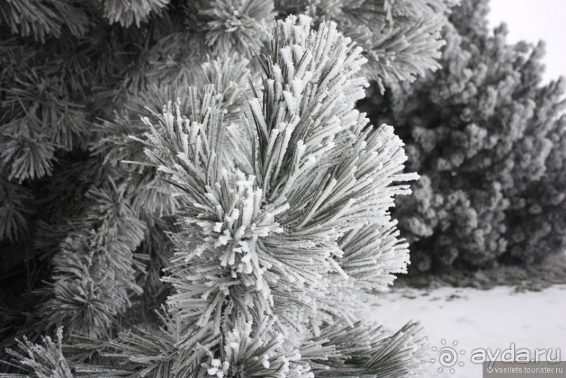 Как нельзя делать рекламники в Европу-2