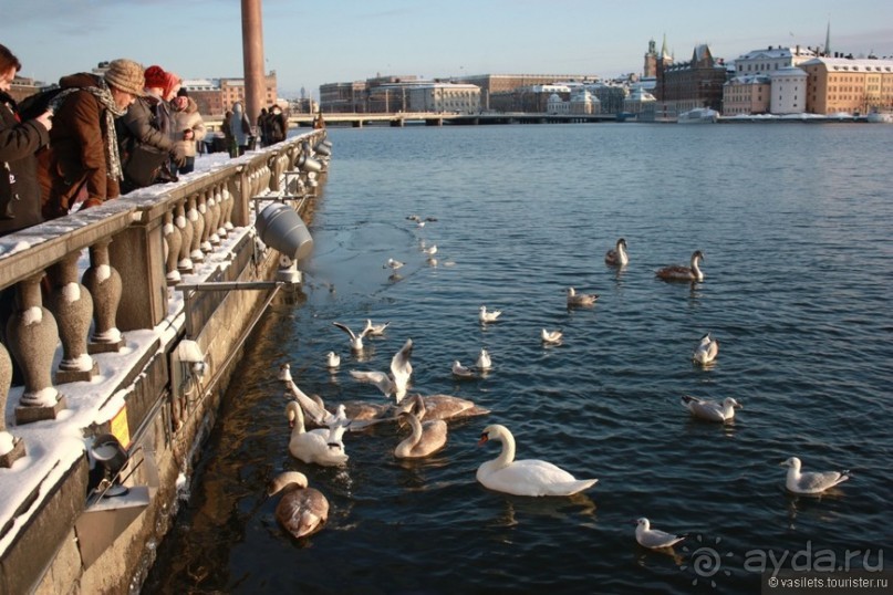 Стокгольм новогодний