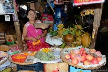 По Бирме босиком. Приказано выжить