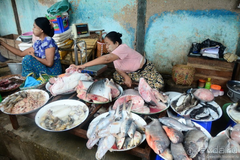 По Бирме босиком. Приказано выжить