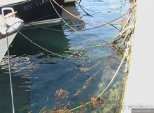 Ровинь - не Венеция, но все же...