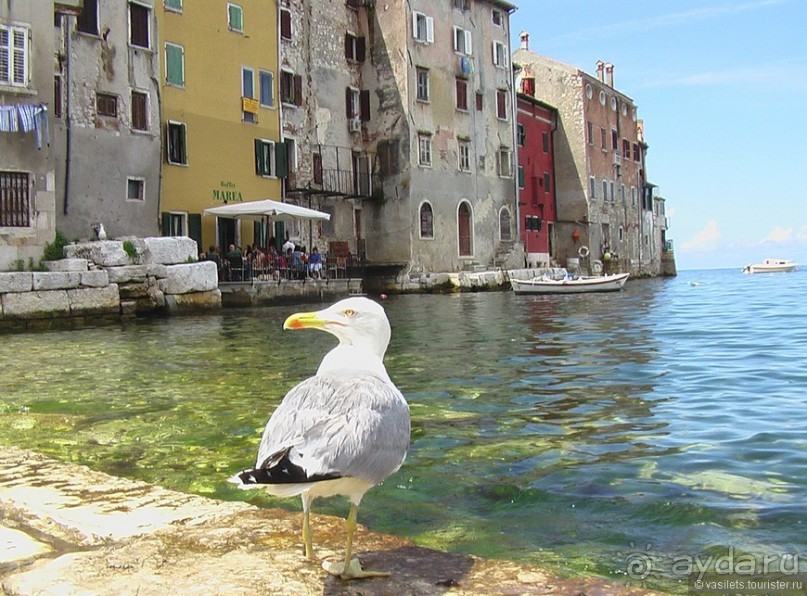 Ровинь - не Венеция, но все же...