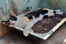 Старинный Тринидад и еще два города Кубы