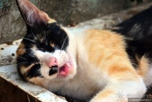 Старинный Тринидад и еще два города Кубы