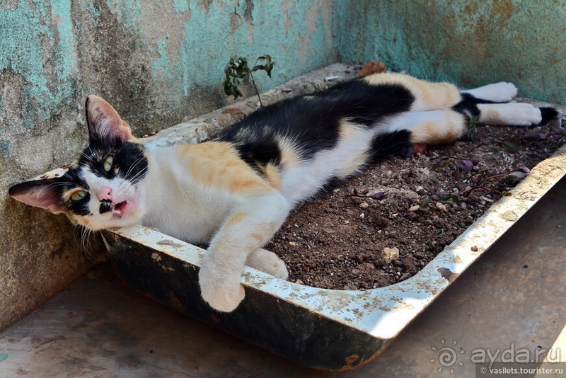 Старинный Тринидад и еще два города Кубы