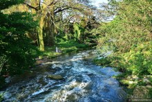 Гавана. Парадоксы социализма