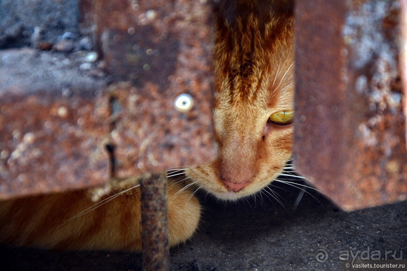 Гавана. Парадоксы социализма
