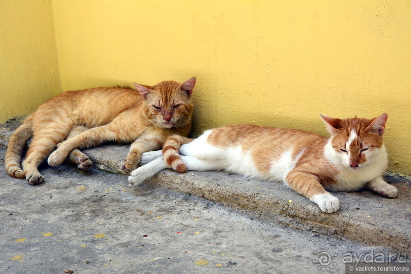 Гавана. Парадоксы социализма