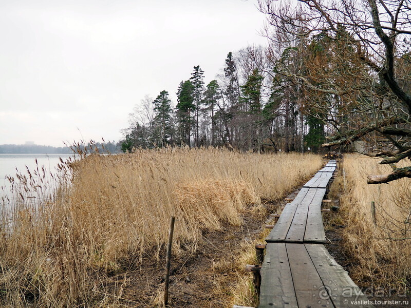 Скандинавская сага на Новый год
