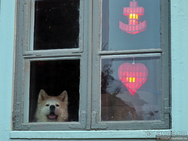 Скандинавская сага на Новый год