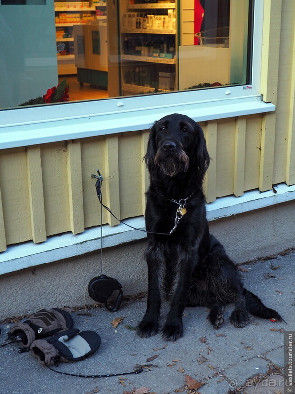 Скандинавская сага на Новый год