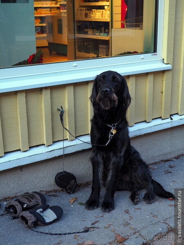 Скандинавская сага на Новый год