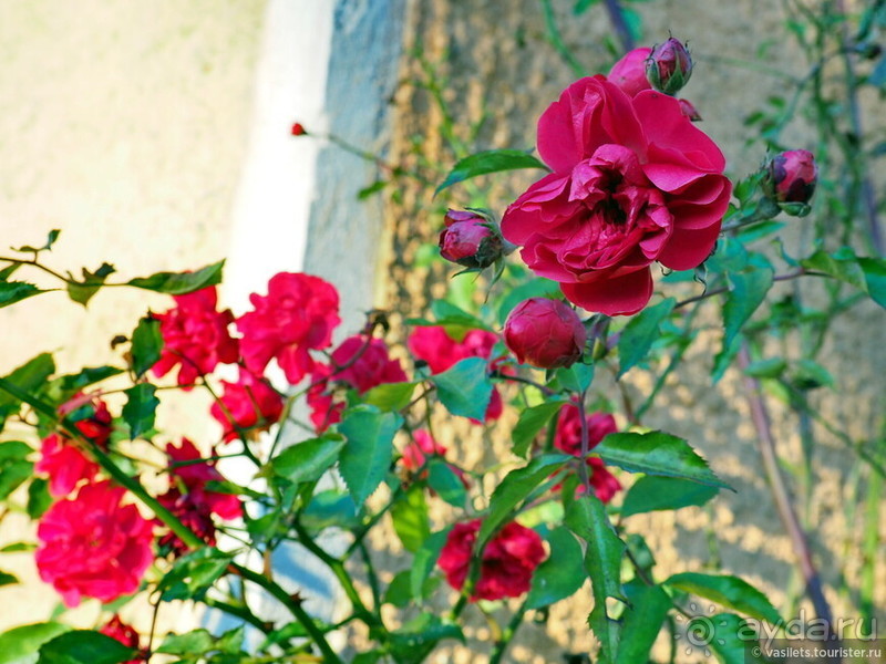 Скандинавская сага на Новый год