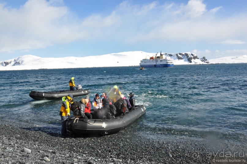 По снегам Антарктики