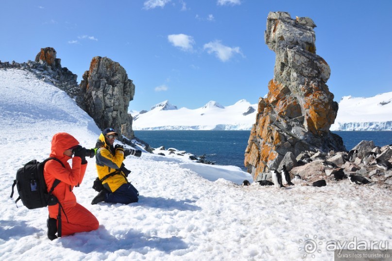 По снегам Антарктики