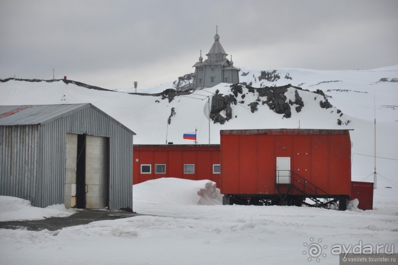 По снегам Антарктики