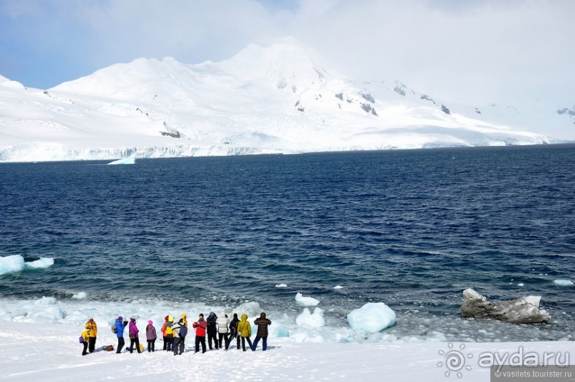 По снегам Антарктики