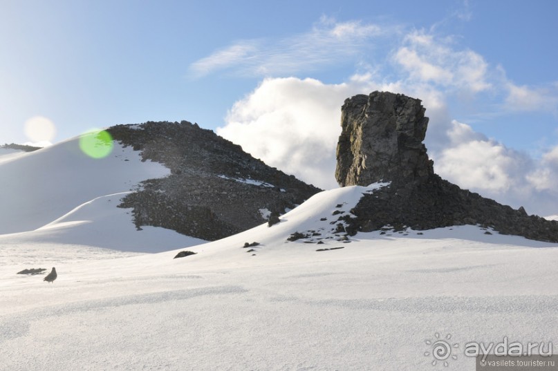 По снегам Антарктики