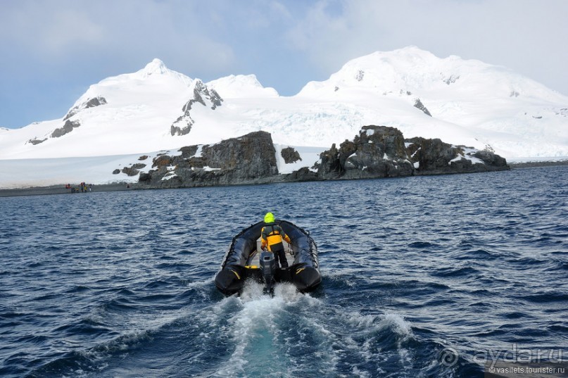По снегам Антарктики