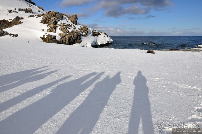 По снегам Антарктики