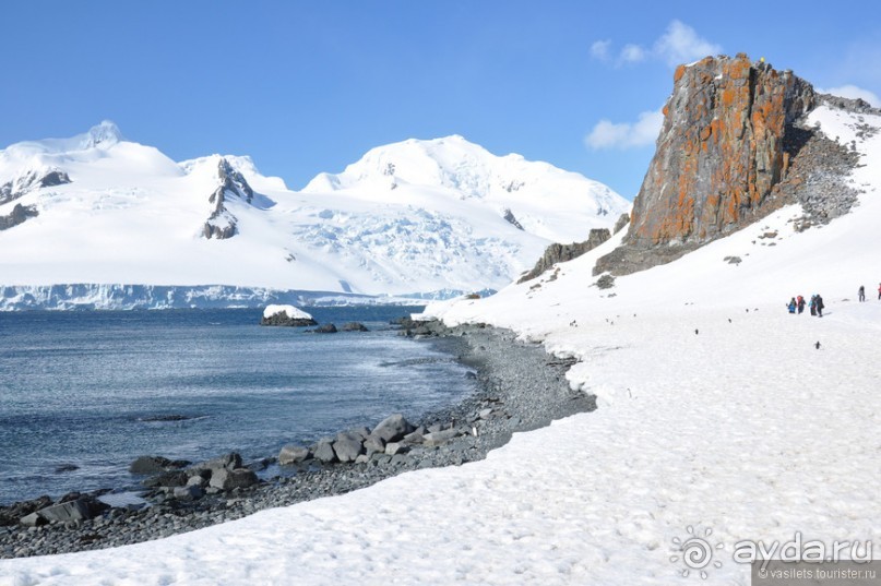 По снегам Антарктики