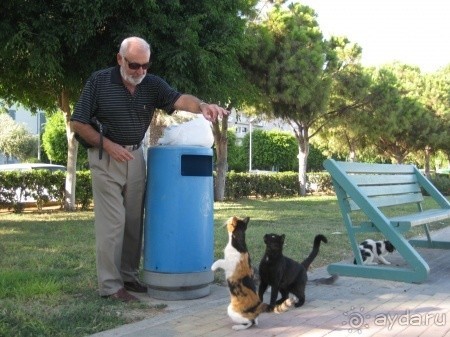 Кипр северный, Кипр южный