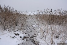 Переславль с Ростовом и ДР в придачу