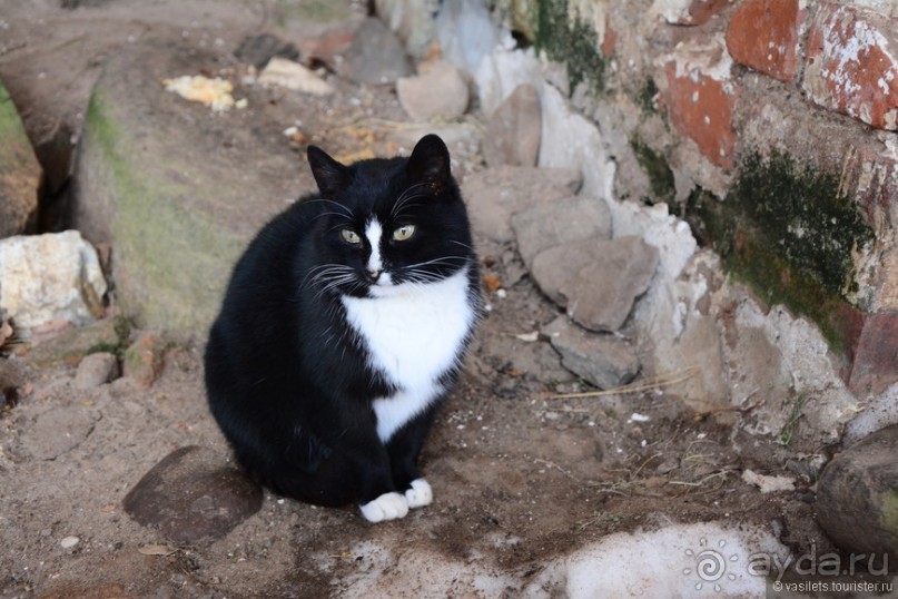 Переславль с Ростовом и ДР в придачу