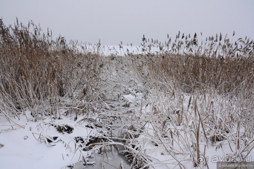 Переславль с Ростовом и ДР в придачу