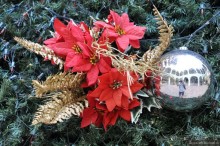 Юкатан - пирамиды и сеноты