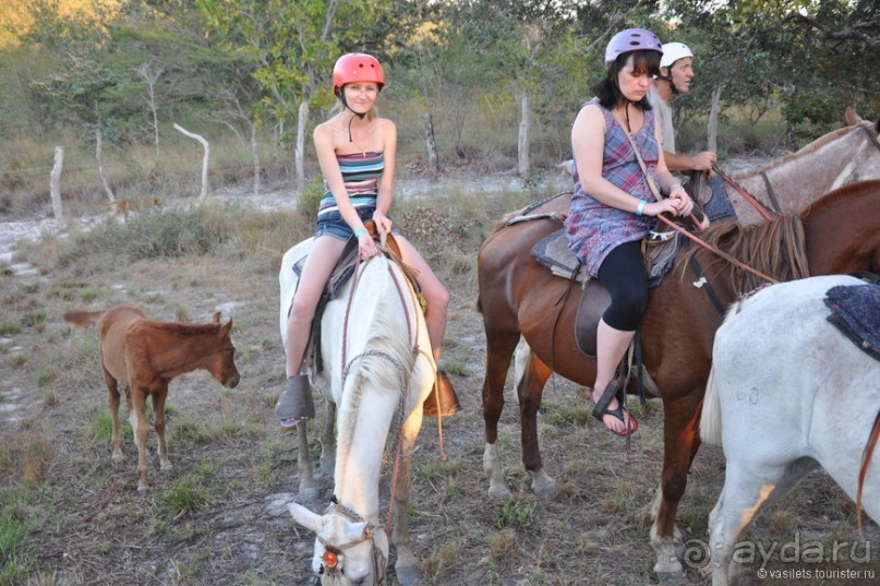 Альбом отзыва "Активная Коста-Рика"