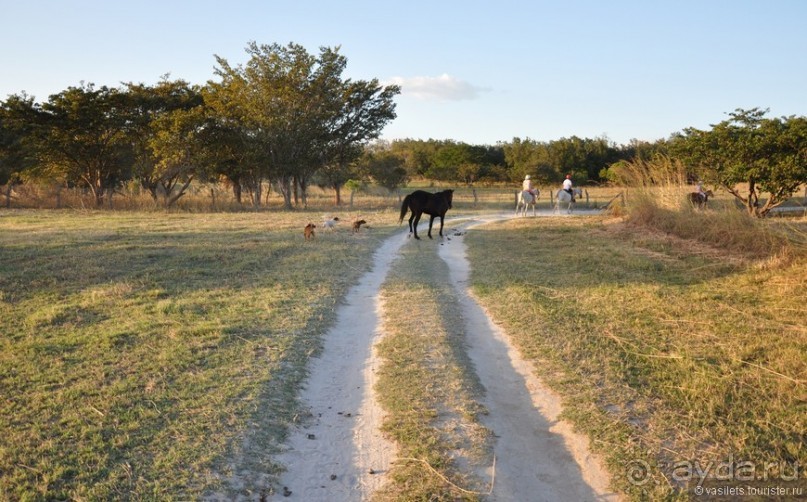 Альбом отзыва "Активная Коста-Рика"