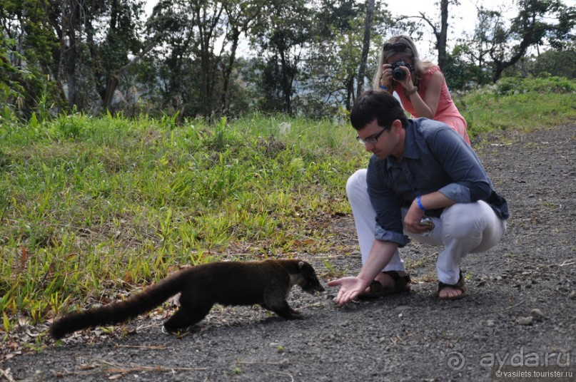 Альбом отзыва "Активная Коста-Рика"