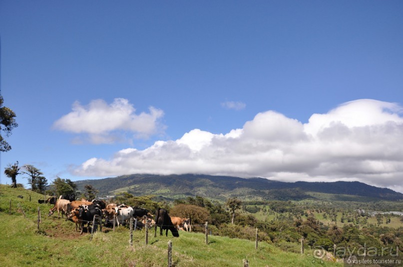 Альбом отзыва "Активная Коста-Рика"