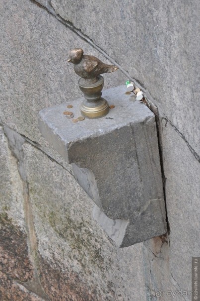 Питер, дождик, май — чего хочешь, выбирай