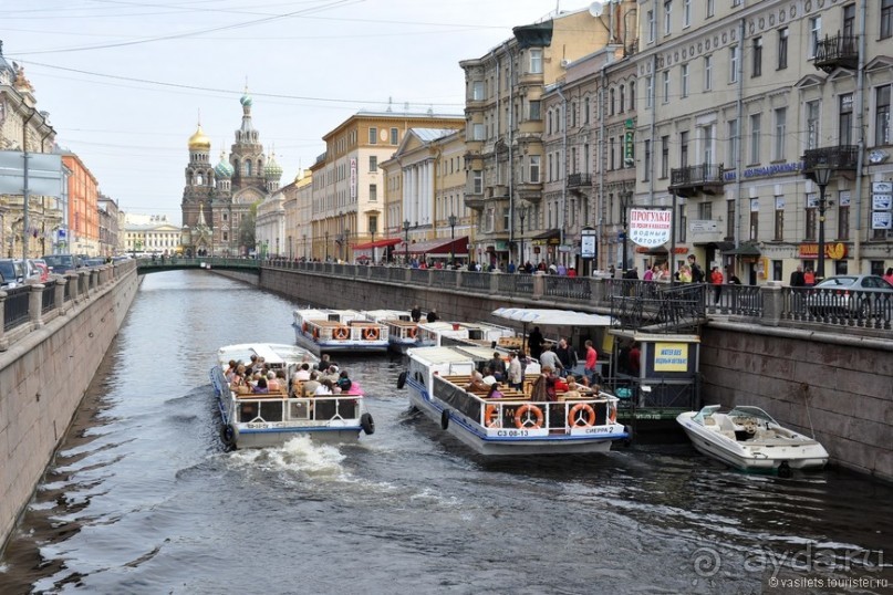 Питер, дождик, май — чего хочешь, выбирай