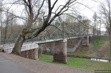 Питер, дождик, май — чего хочешь, выбирай