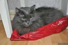 Питер, дождик, май — чего хочешь, выбирай