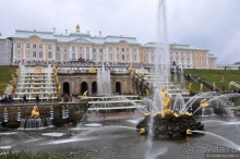 Питер, дождик, май — чего хочешь, выбирай