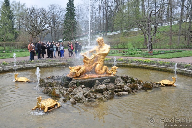 Питер, дождик, май — чего хочешь, выбирай