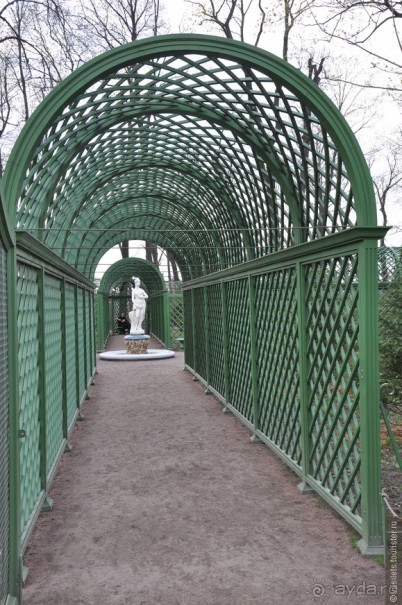 Питер, дождик, май — чего хочешь, выбирай