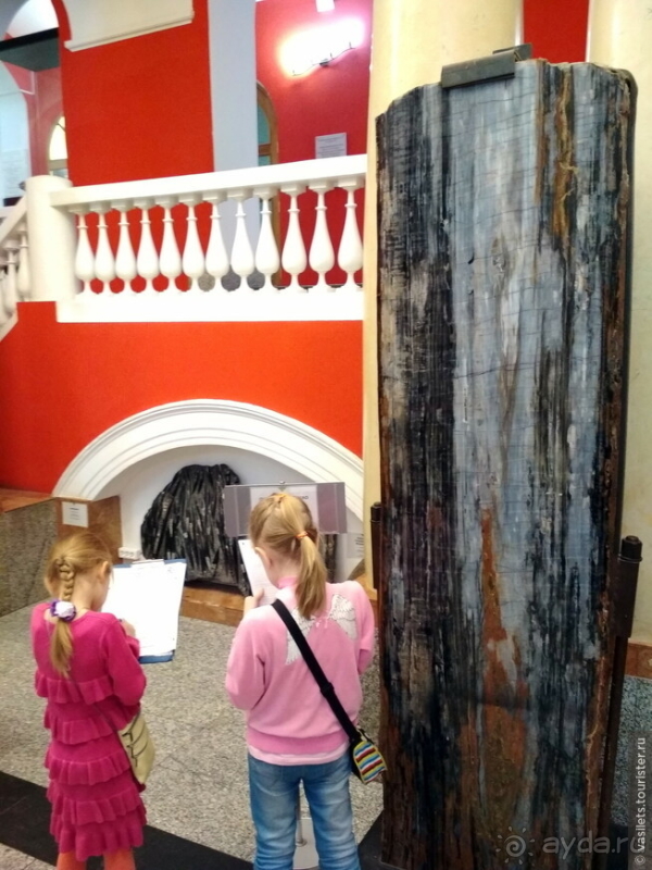 Заглянем в каменную летопись Земли?