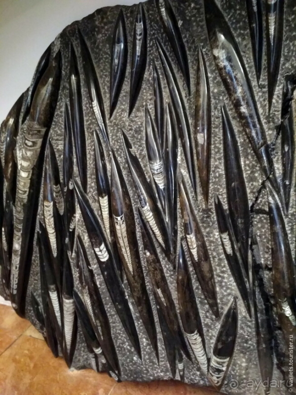 Заглянем в каменную летопись Земли?