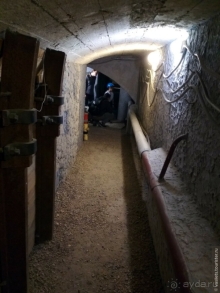 Заглянем в каменную летопись Земли?