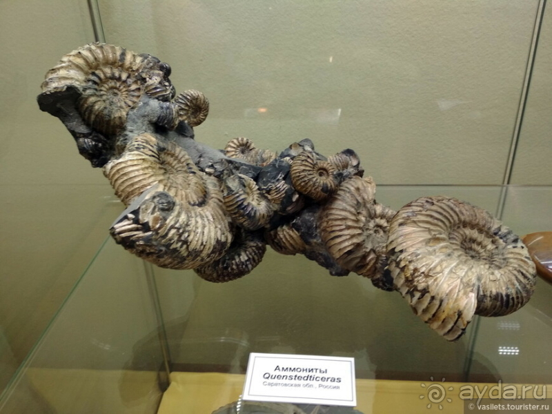 Заглянем в каменную летопись Земли?