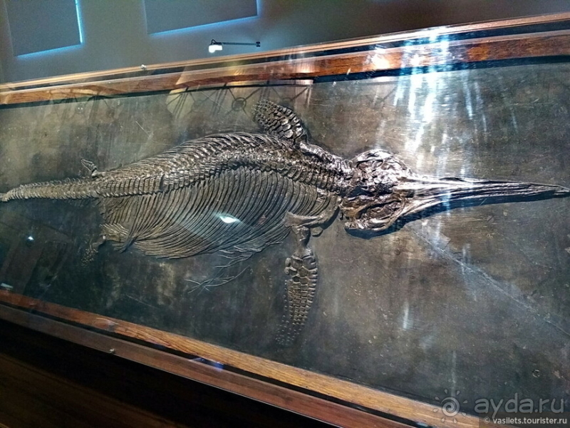 Заглянем в каменную летопись Земли?