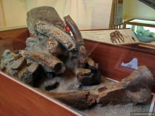 Заглянем в каменную летопись Земли?