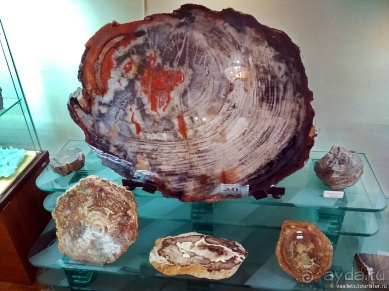 Заглянем в каменную летопись Земли?